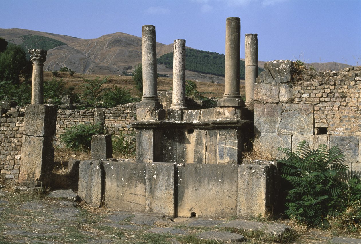 Widok nimfeum, wysoki okres cesarski (27 pne-395 ne) autorstwa Roman Imperial Period