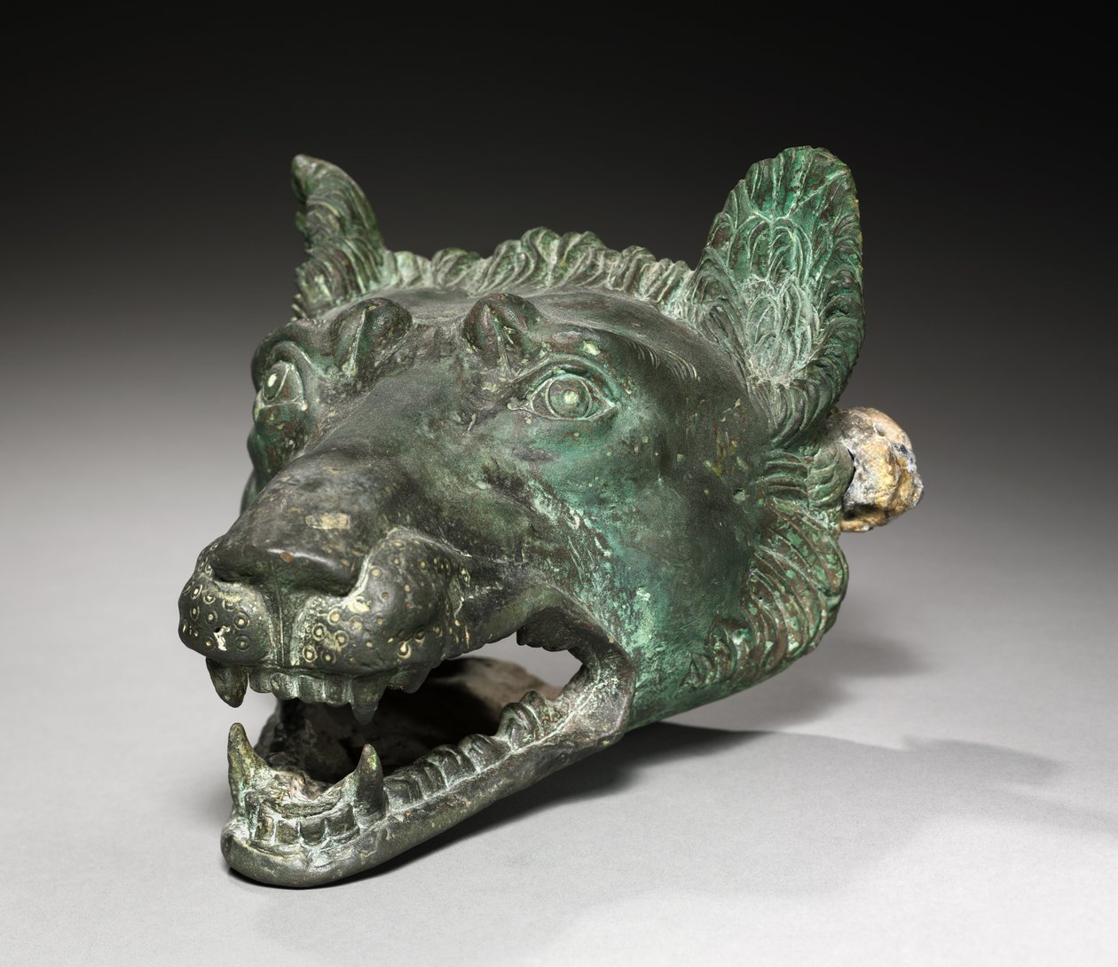 Oprawa barkowa z głową wilka, 1-200 autorstwa Roman Imperial Period