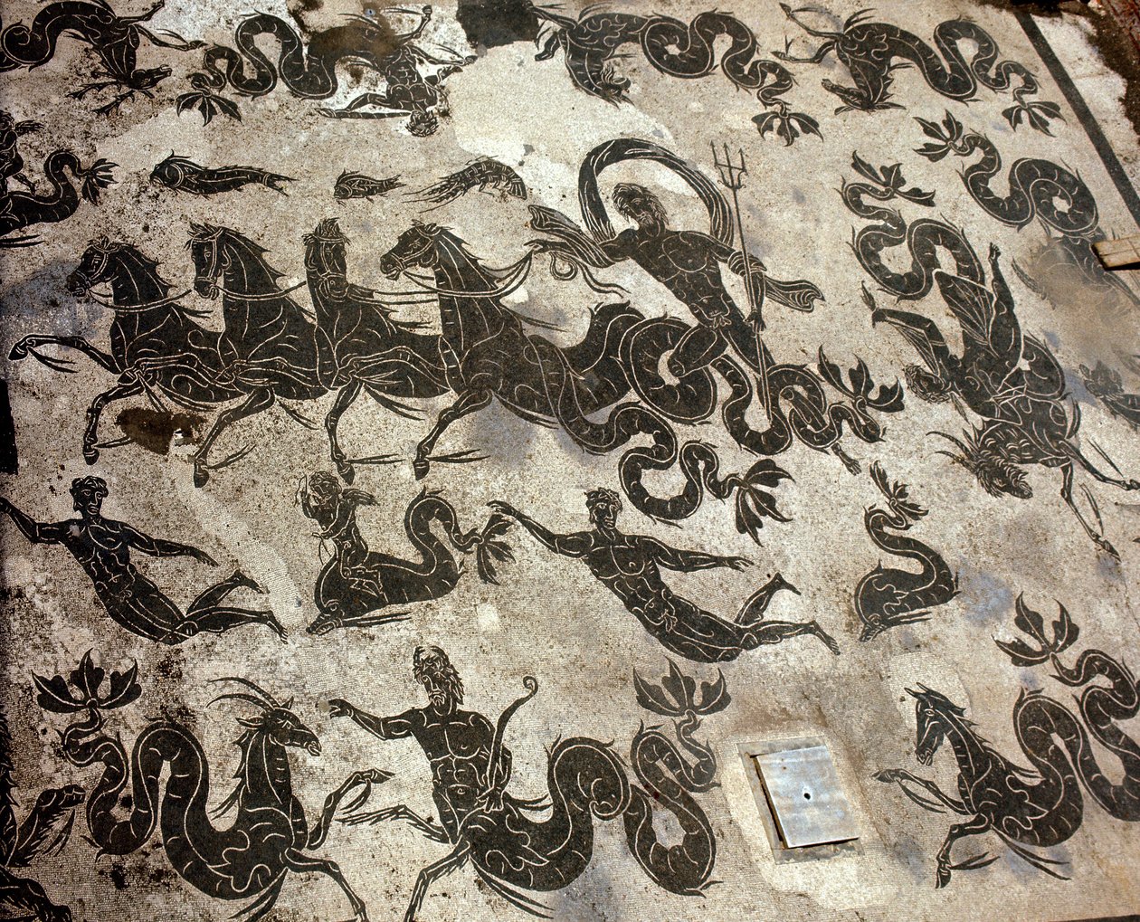 Starożytna Ostia (Ostia). Mozaika warunków Neptuna na jego zbiorniku otoczonym przez delfiny i morskie potwory autorstwa Roman Roman