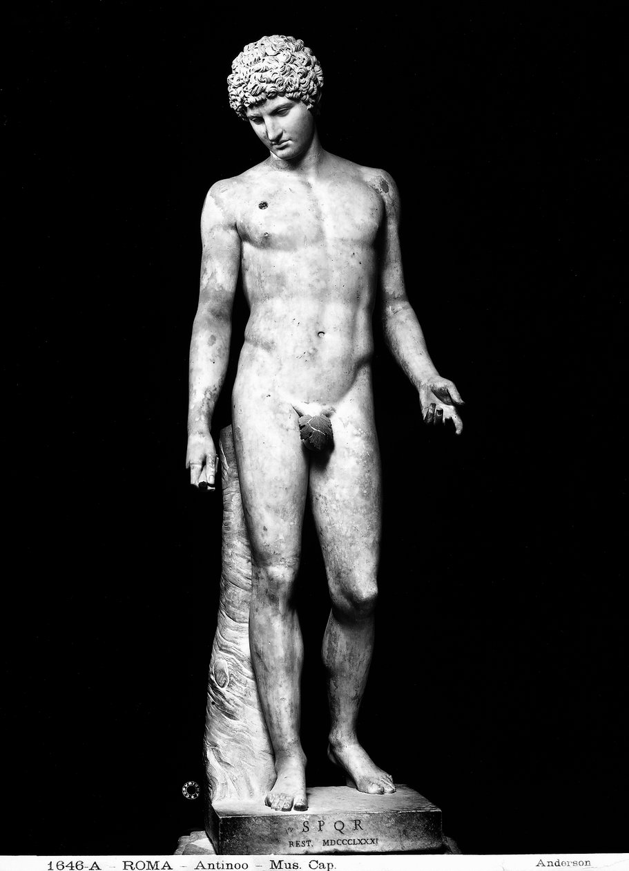 Antinous (marmur) autorstwa Roman Roman