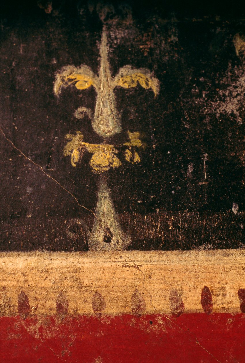 Element dekoracyjny, fragment fresku w triclinium Domu Wettiów, Pompeje (Lista Światowego Dziedzictwa UNESCO autorstwa Roman Roman