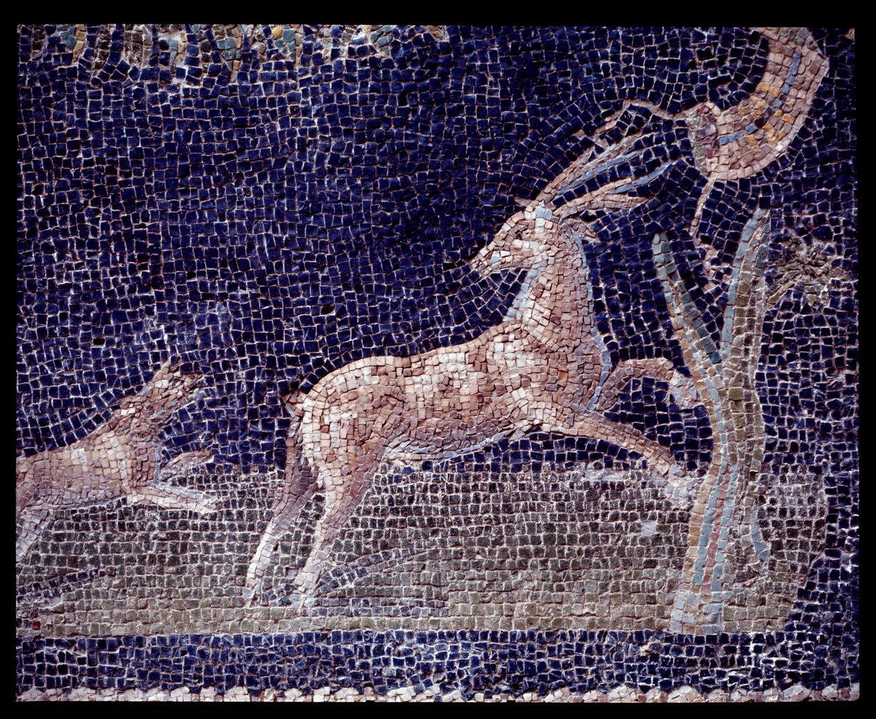 Fragment mozaik ściennych nimfeum z casa di Nettuno e Anfitrite, V wpne-I wne autorstwa Roman Roman