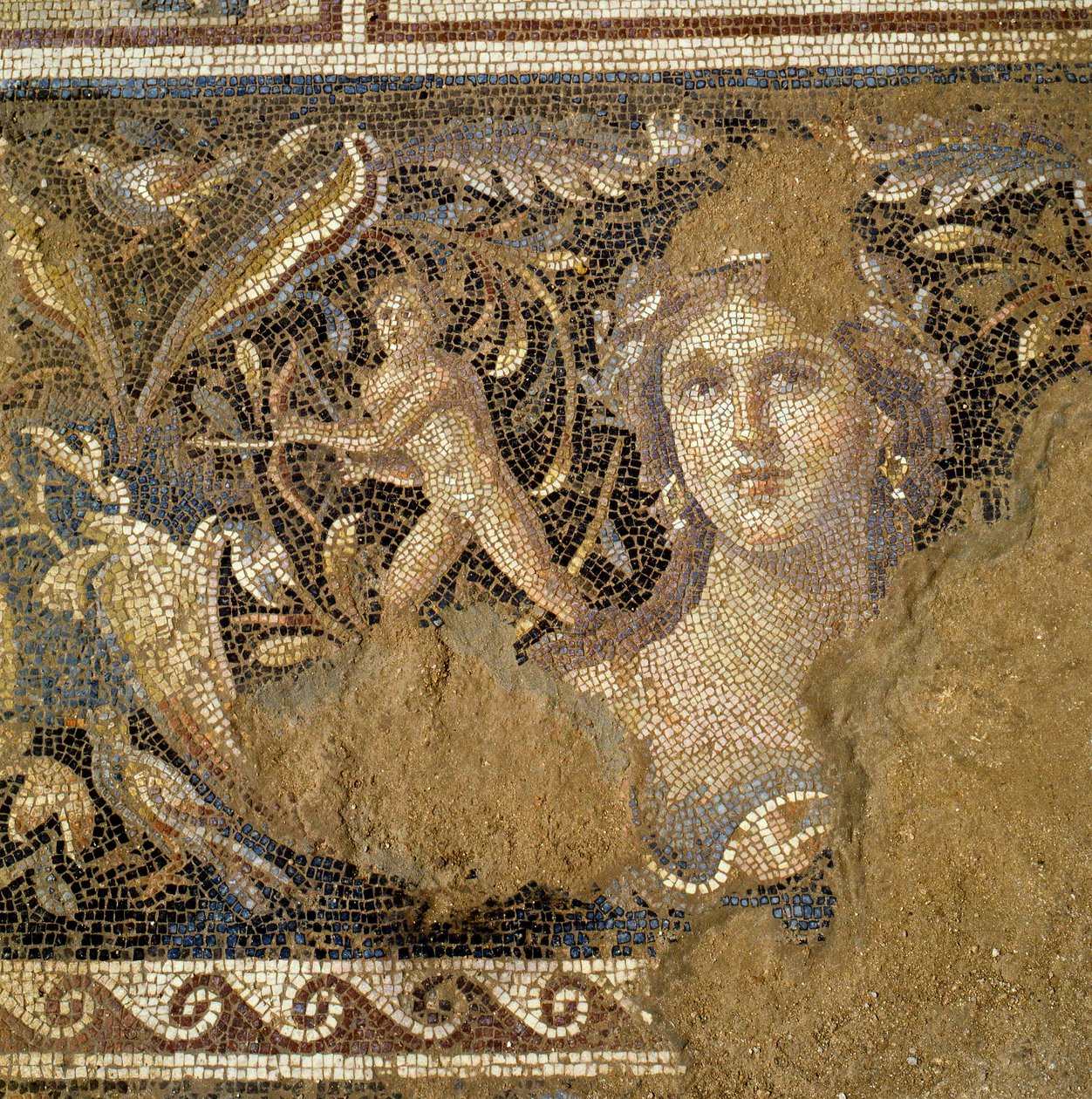 Piętro z rzymskiej willi w Zippori (Nazaret) przedstawiające sceny z życia Dionizosa, fragment twarzy kobiety znanej jako Mona Lisa z Galilei, III-IV w. n.e. (mozaika) autorstwa Roman Roman