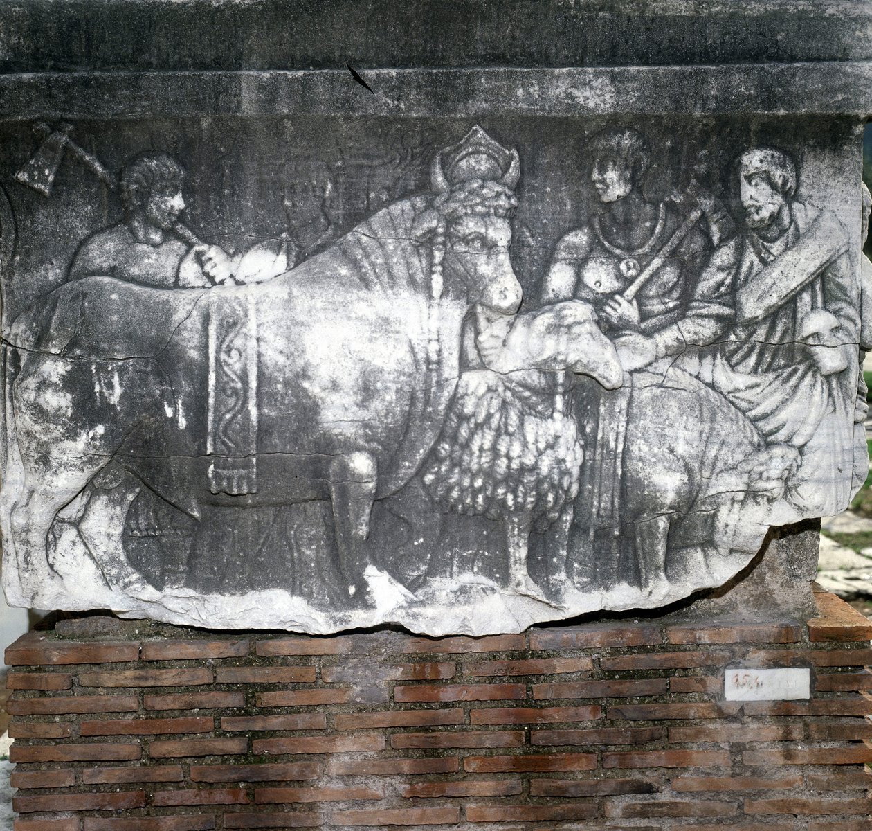 Foro Romano: Suovetaurilia (poświęcenie świni, barana i byka). Rzym autorstwa Roman Roman