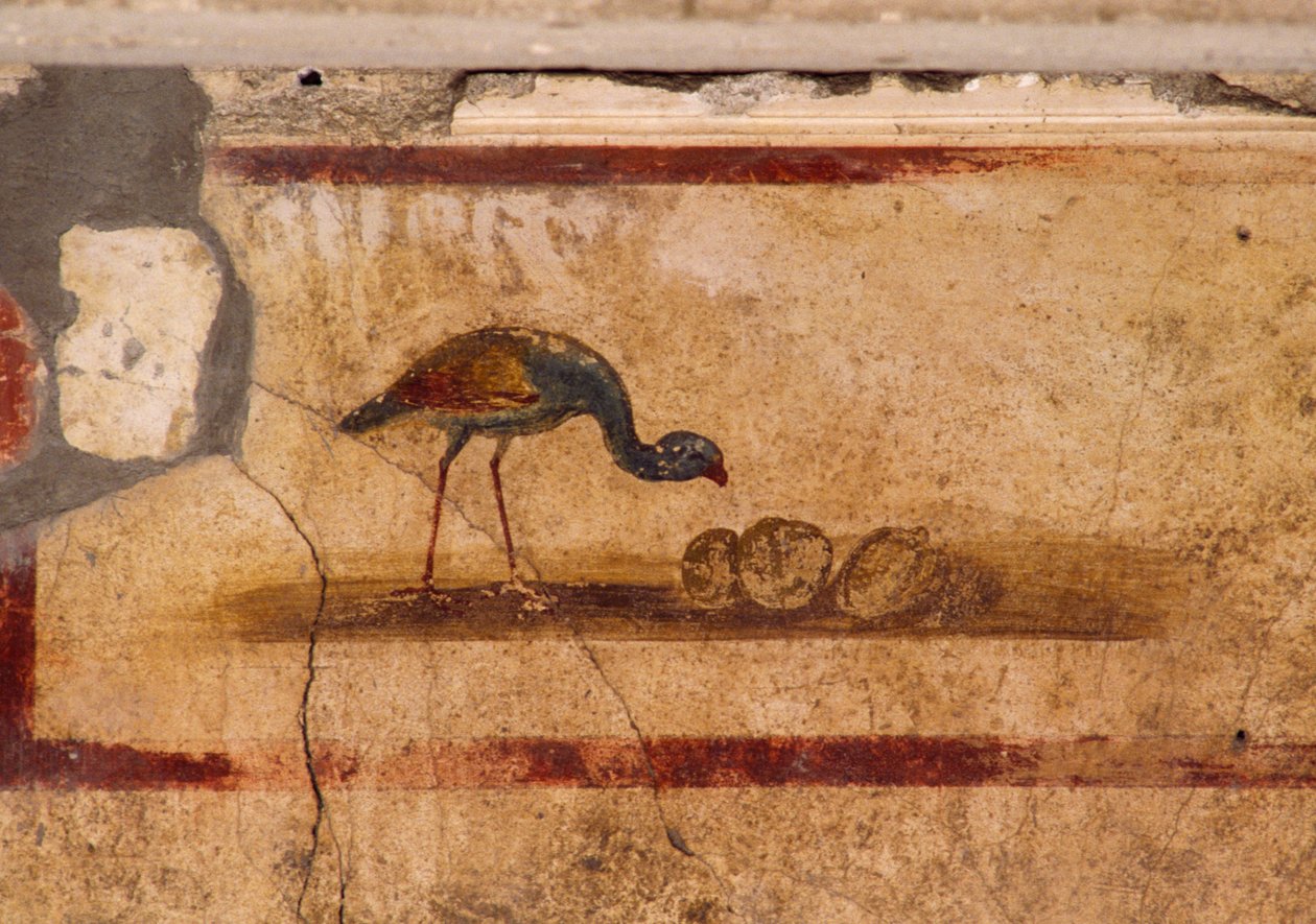 Fresk przedstawiający ptaka z peristylium w Domu Caiusa Juliusza Polibiusza w Pompejach (Lista Światowego Dziedzictwa UNESCO autorstwa Roman Roman