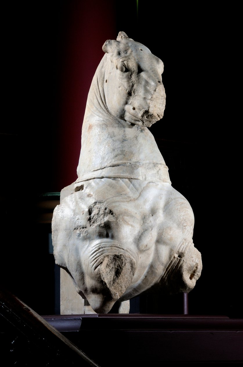 Przednia część konia (marmur) (patrz także 371182 i 371183) autorstwa Roman Roman