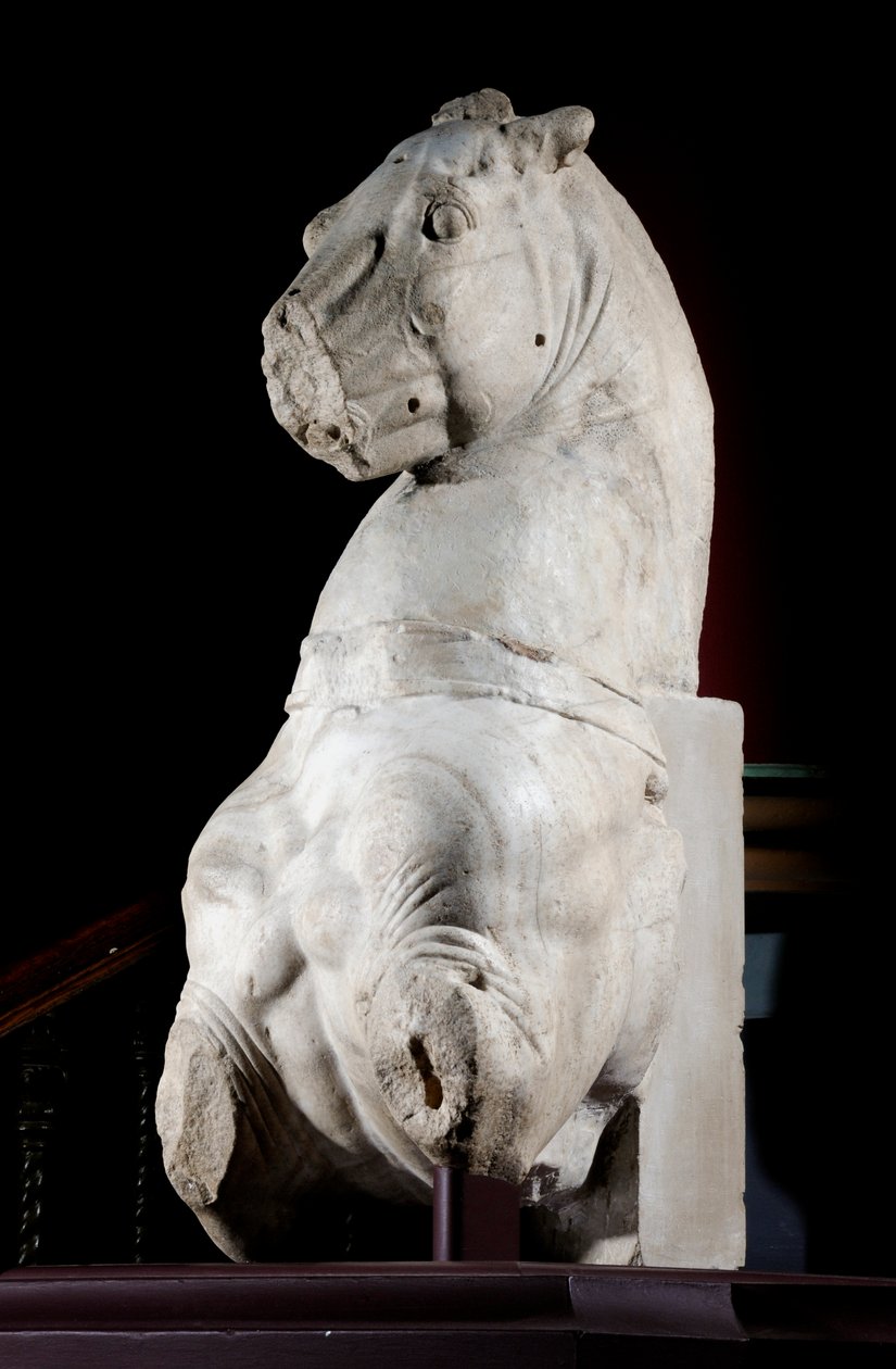 Przednia część konia (marmur) (patrz także 371182 i 371184) autorstwa Roman Roman