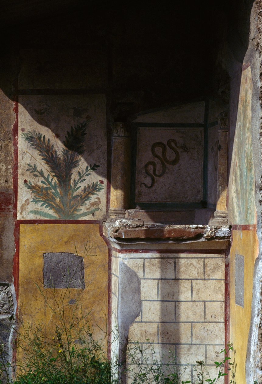 Rzut oka na dom przy Via di Castricio w Pompejach (Lista Światowego Dziedzictwa UNESCO autorstwa Roman Roman