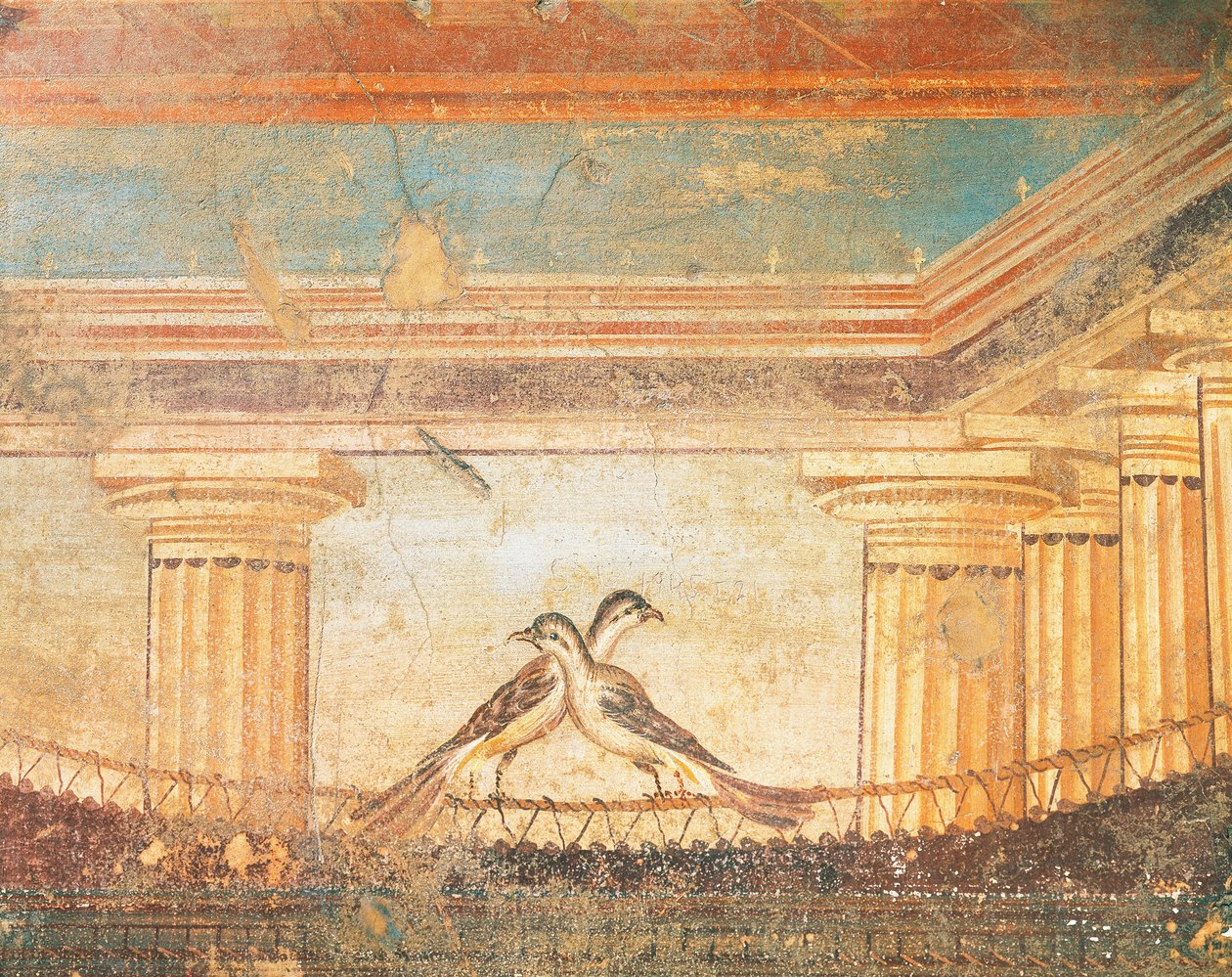 Fresk Hery Sannita przedstawiający ptaki, Dom Labiryntu, Pompeje, Kampania, Cywilizacja Rzymska autorstwa Roman Roman