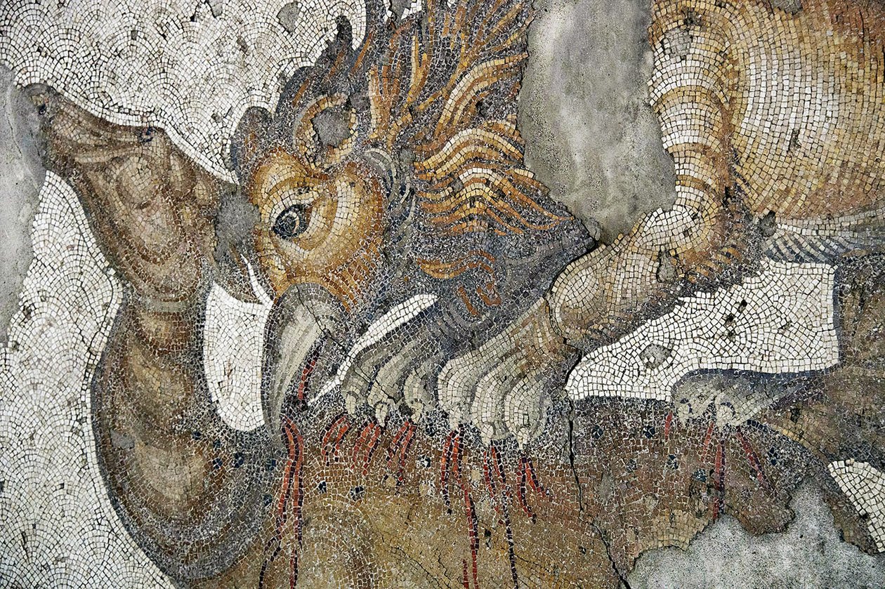 Mozaika przedstawiająca gryfa lwa atakującego jelenia, Bazar Arasta, Meczet Sułtana Ahmeta, Stambuł. autorstwa Roman Roman