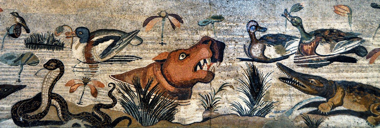 Fryz mozaikowy z Pompejów (dom fauny, casa del Fauno - scena nilotyczna - życie zwierząt na Nilu: hipopotam, krokodyl, wąż, kaczki - sztuka rzymska - Muzeum Archeologiczne w Neapolu, Włochy - Museo Archeologico Nazionale, Napoli, Italia - Photo Patrice Car autorstwa Roman Roman