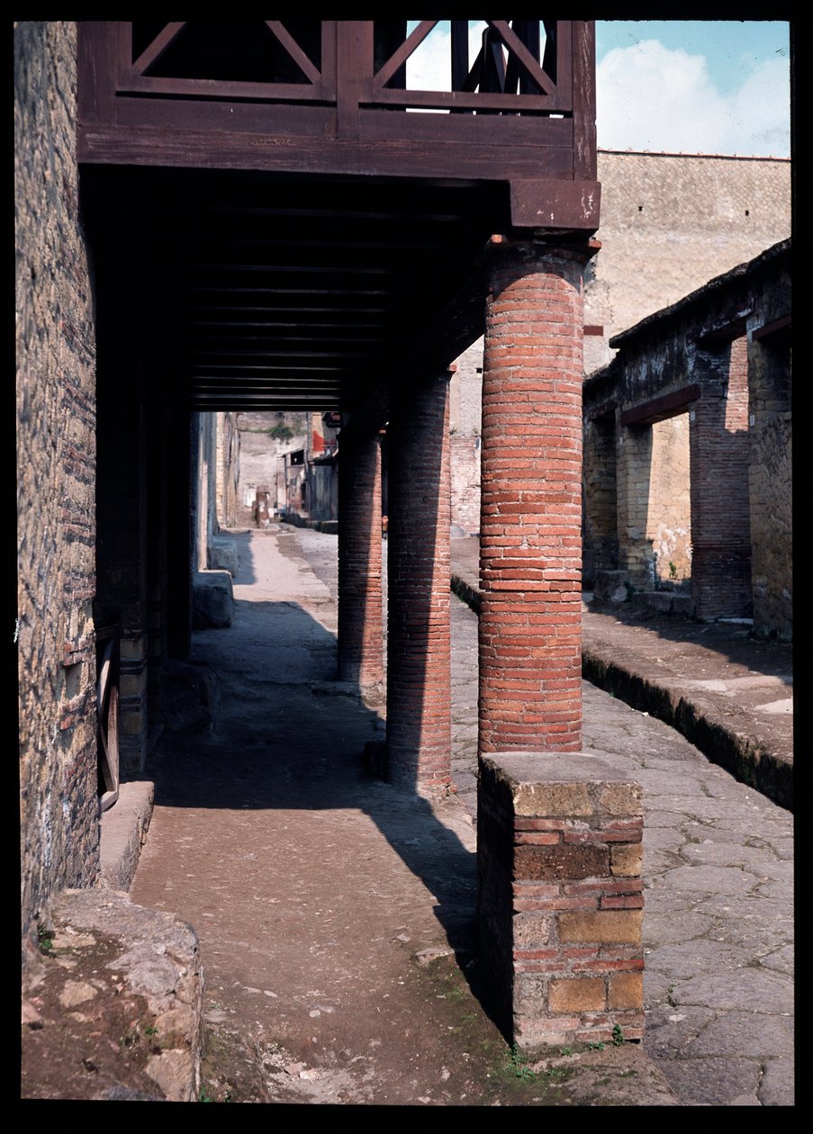 Ulica, V wpne-I wne autorstwa Roman Roman