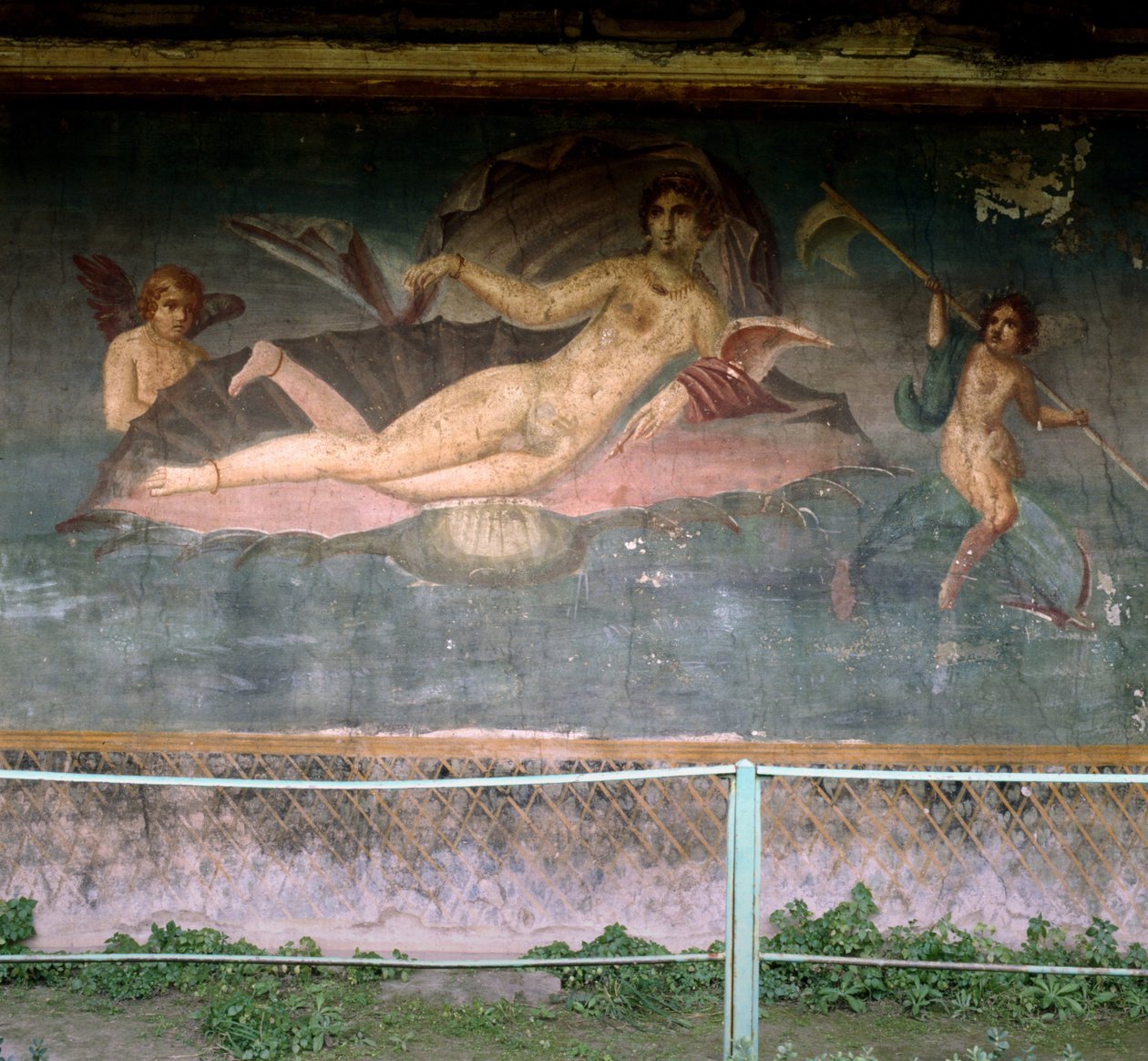 Wenus odpoczywa w skorupie. Dom Wenus, Pompeje, Włochy. Fresk. autorstwa Roman Roman