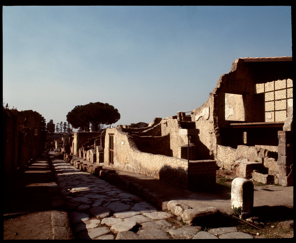 Widok Decumanusa Maximusa, V wpne-I wne autorstwa Roman Roman