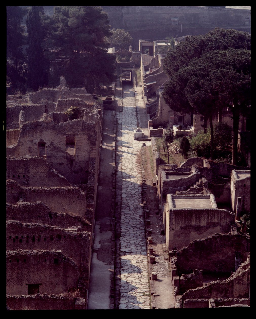 Widok cardo V, V wpne-I wne autorstwa Roman Roman