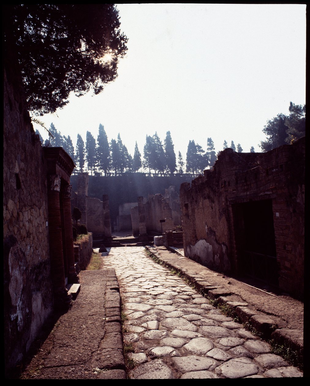 Widok cardo V, V wpne-I wne autorstwa Roman Roman