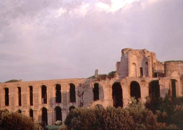 Widok na Palatyn z Circus Maximus (zdjęcie) (patrz także 99012) autorstwa Roman Roman