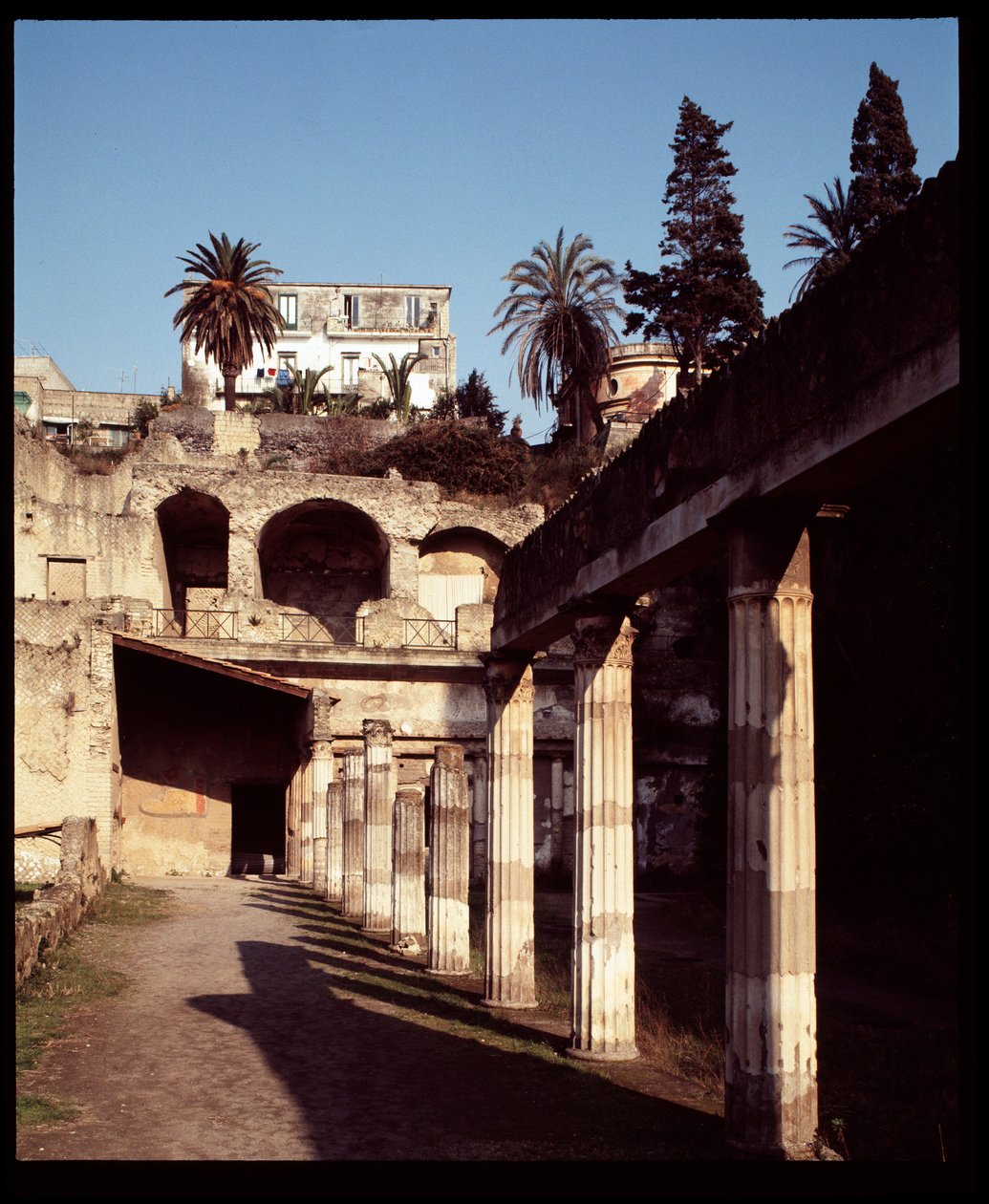 Widok palestry, V wpne-I wne autorstwa Roman Roman