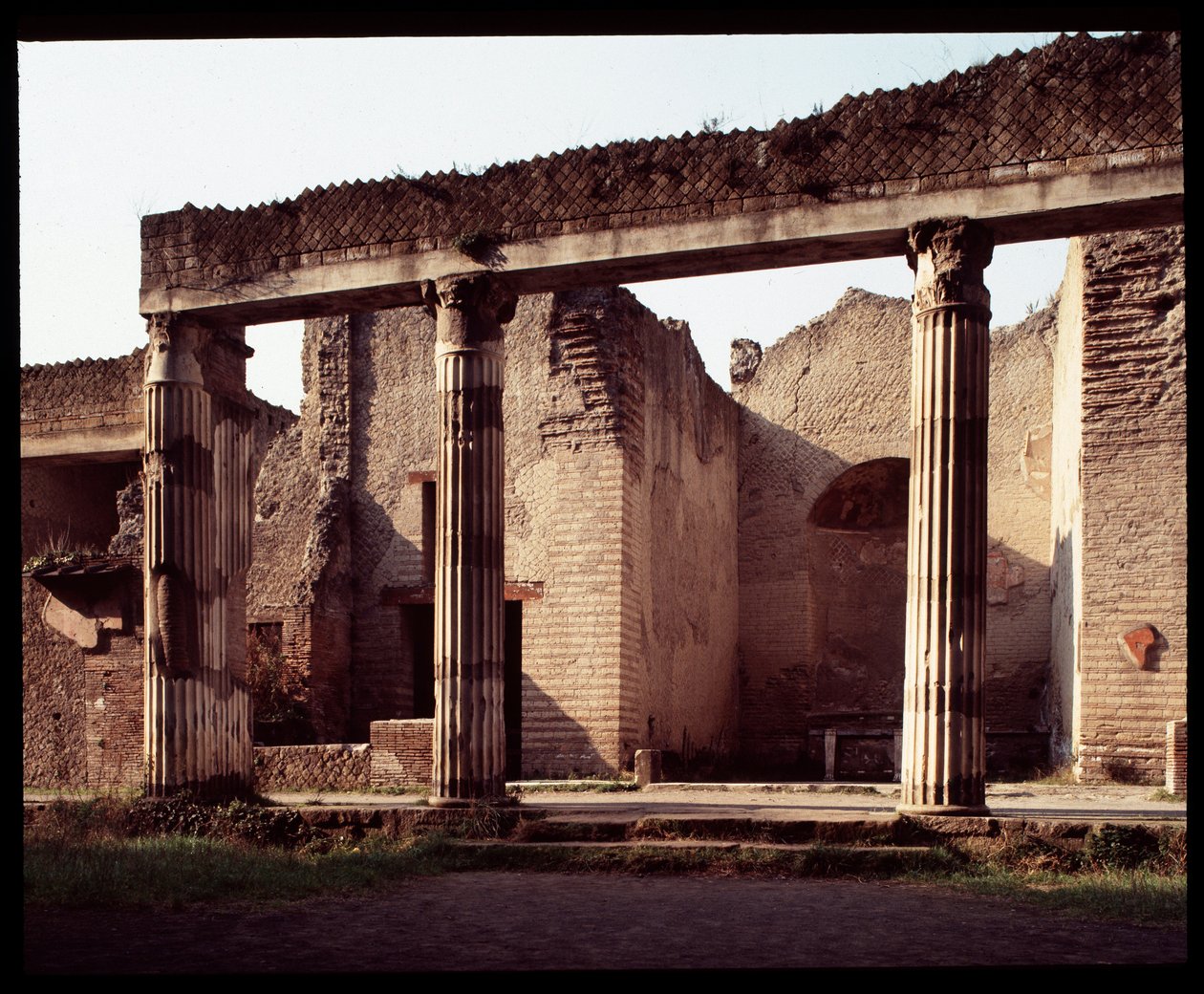 Widok palestry, V wpne-I wne autorstwa Roman Roman