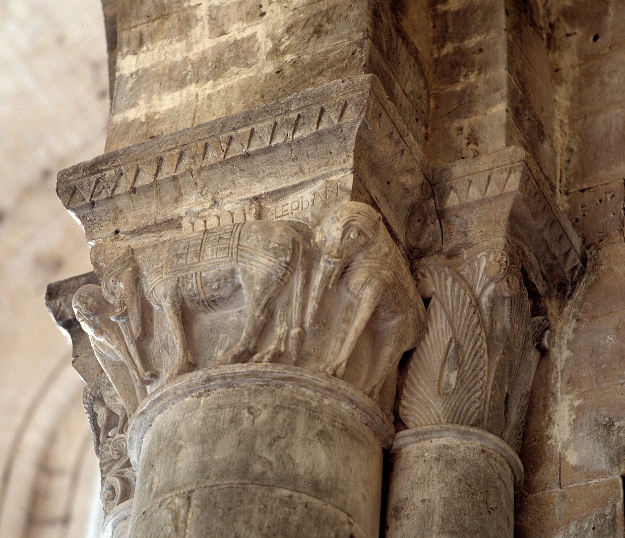 Słonie (rzeźbiona stolica nawy) autorstwa Romanesque