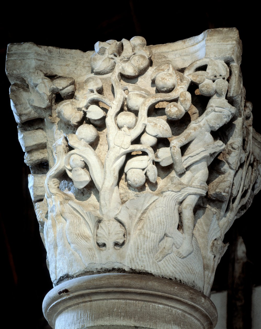 Raj: drzewo figowe i jabłoń, Stolica chóru (rzeźba autorstwa Romanesque