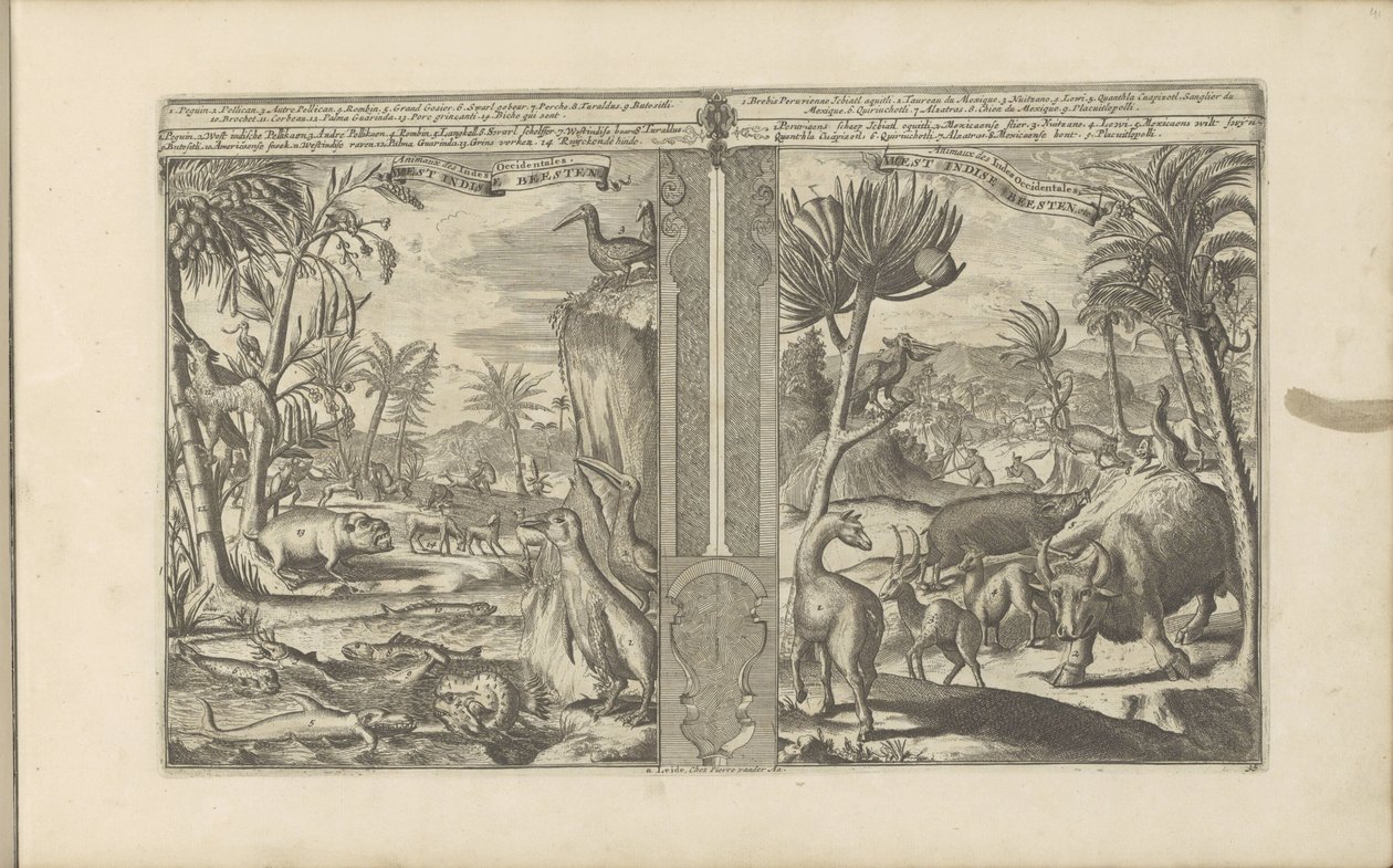 Dieren z Indii Zachodnich West Indische Beesten / Zwierzęta Indii Zachodnich (tytuł na obiekcie) Indie Wschodnie i Zachodnie oraz inne miejsca (tytuł serii) autorstwa Romeyn de Hooghe