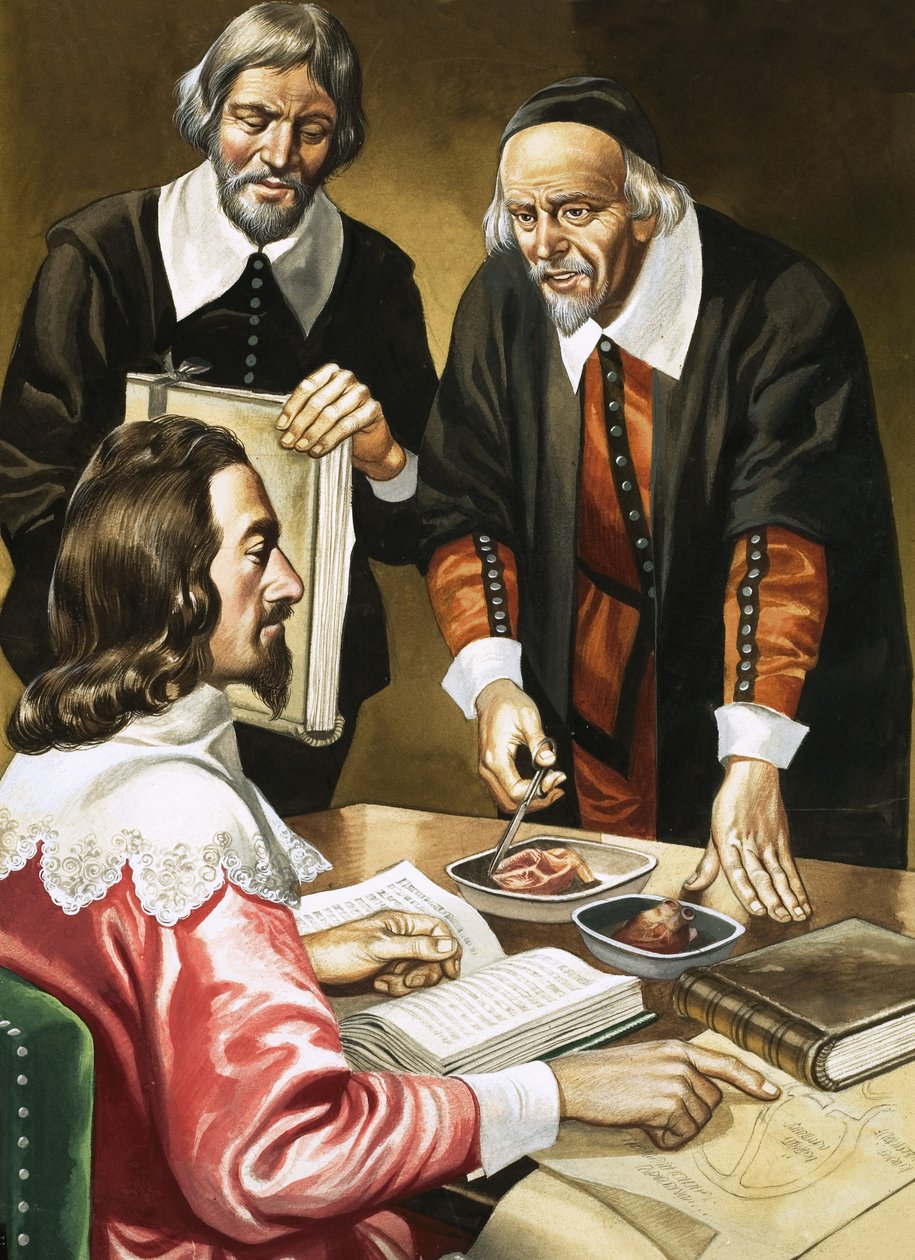 Karol I i William Harvey dyskutujący o sercu autorstwa Ron Embleton