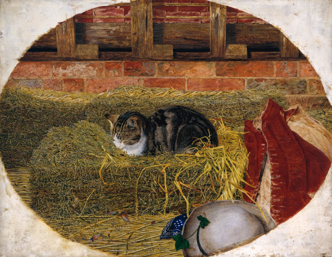 Kocia drzemka, 1858 autorstwa Rosa Brett