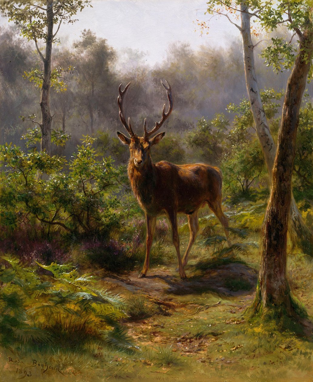 Jeleń autorstwa Rosa Bonheur