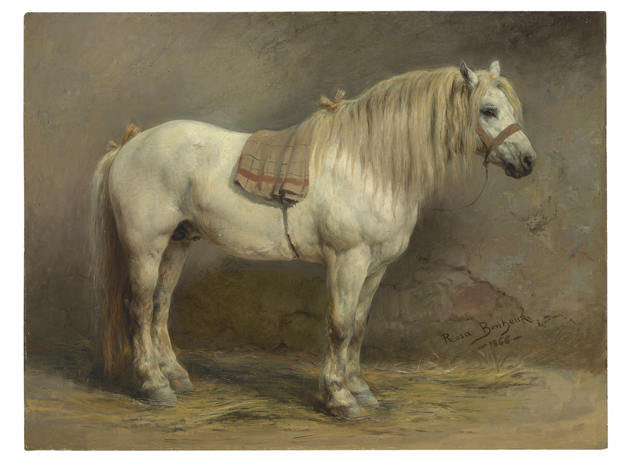 Biały koń autorstwa Rosa Bonheur