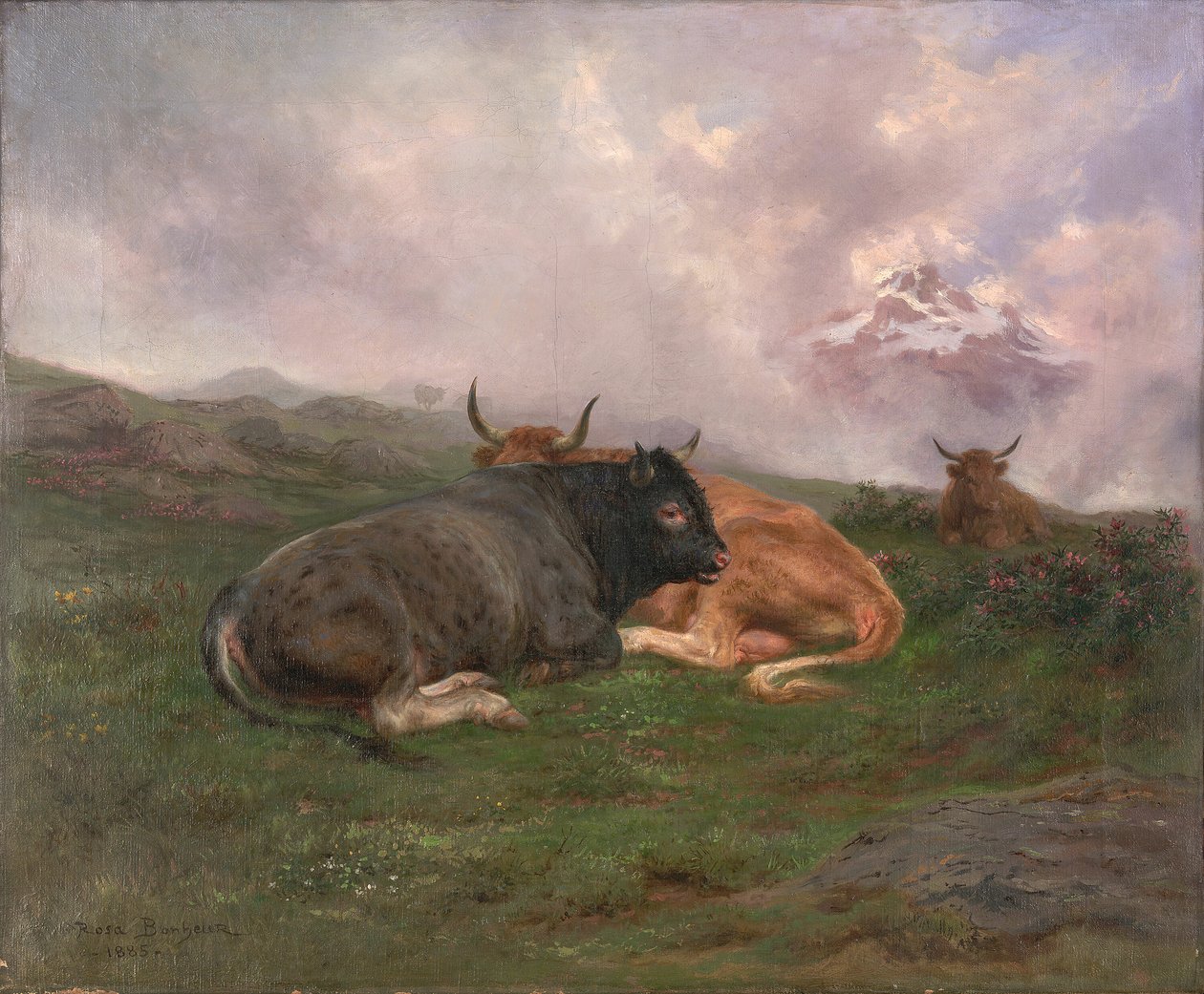 Bydło odpoczywające na zboczu wzgórza w Alpach, 1885. autorstwa Rosa Bonheur