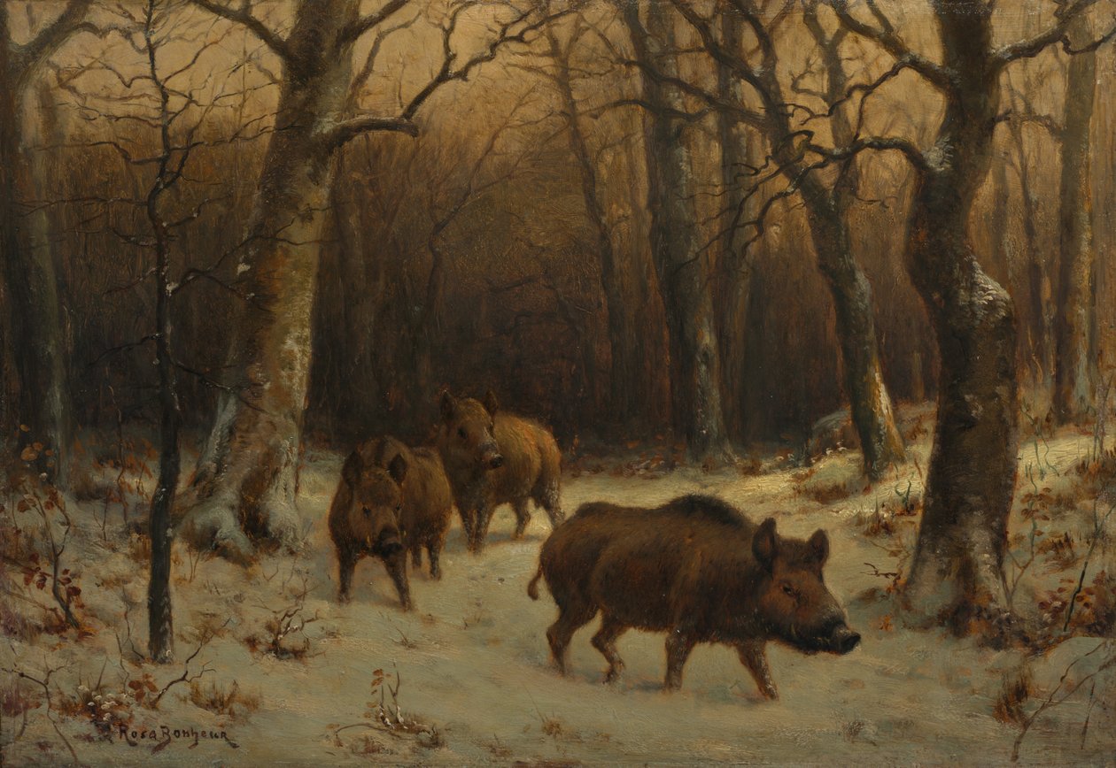 Francuski:  Sangliers dans la neige Dziki w śniegu autorstwa Rosa Bonheur