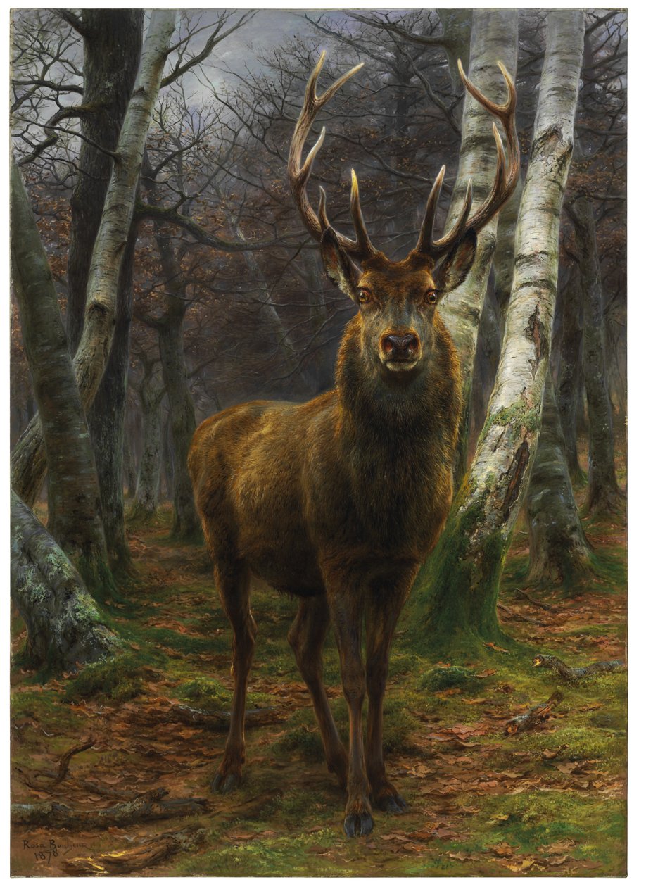 Król Puszczy, 1878 autorstwa Rosa Bonheur