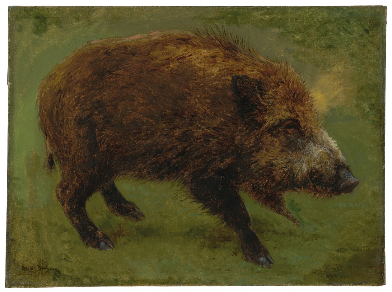 Dzik (olej na płótnie) autorstwa Rosa Bonheur