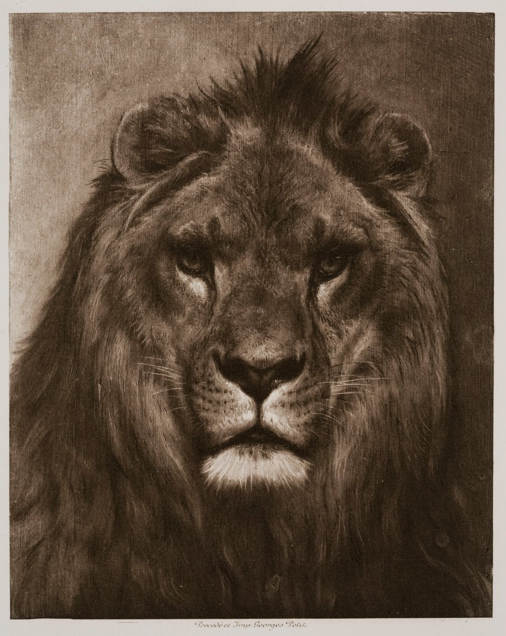 Lew autorstwa Rosa Bonheur