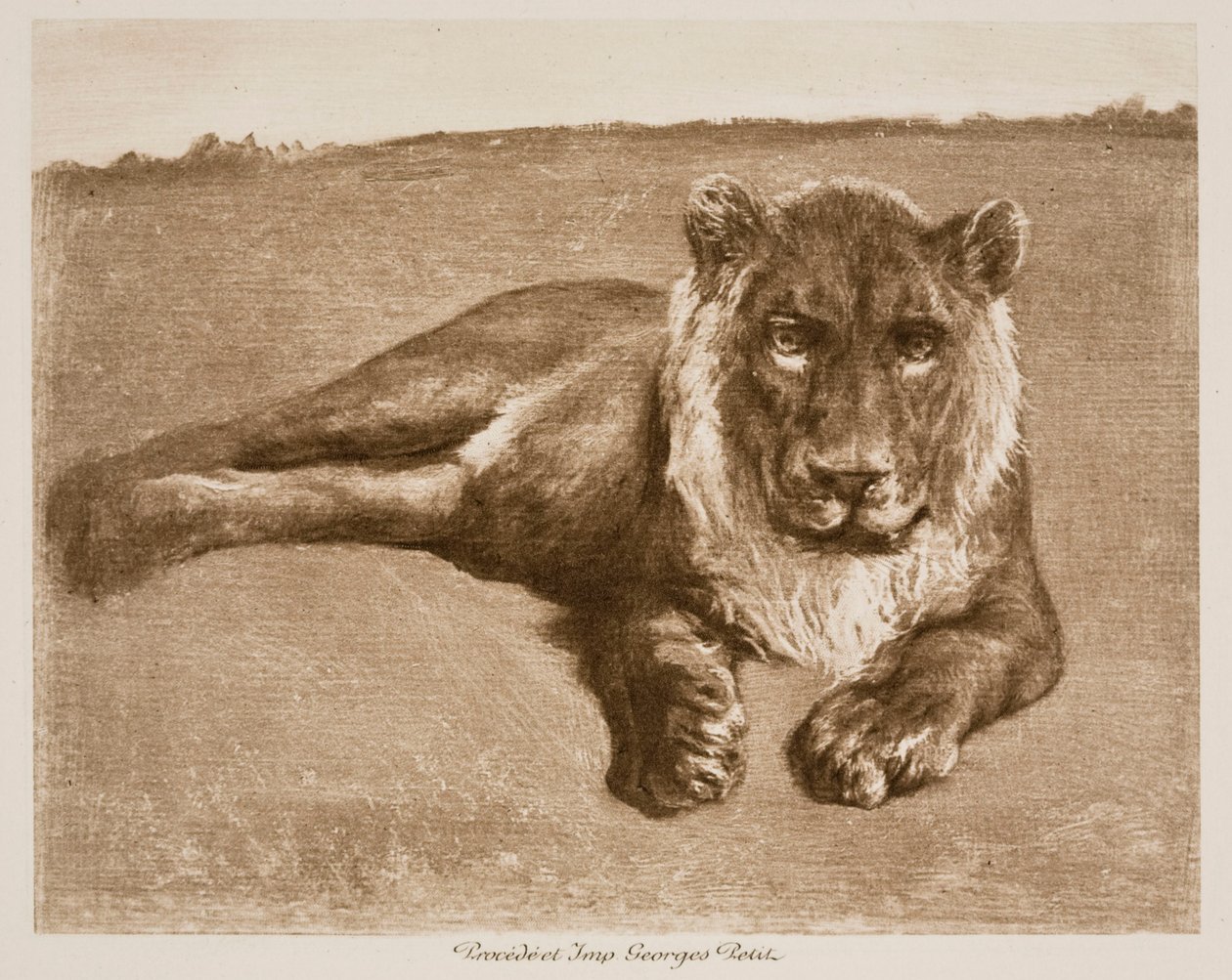 Lew autorstwa Rosa Bonheur