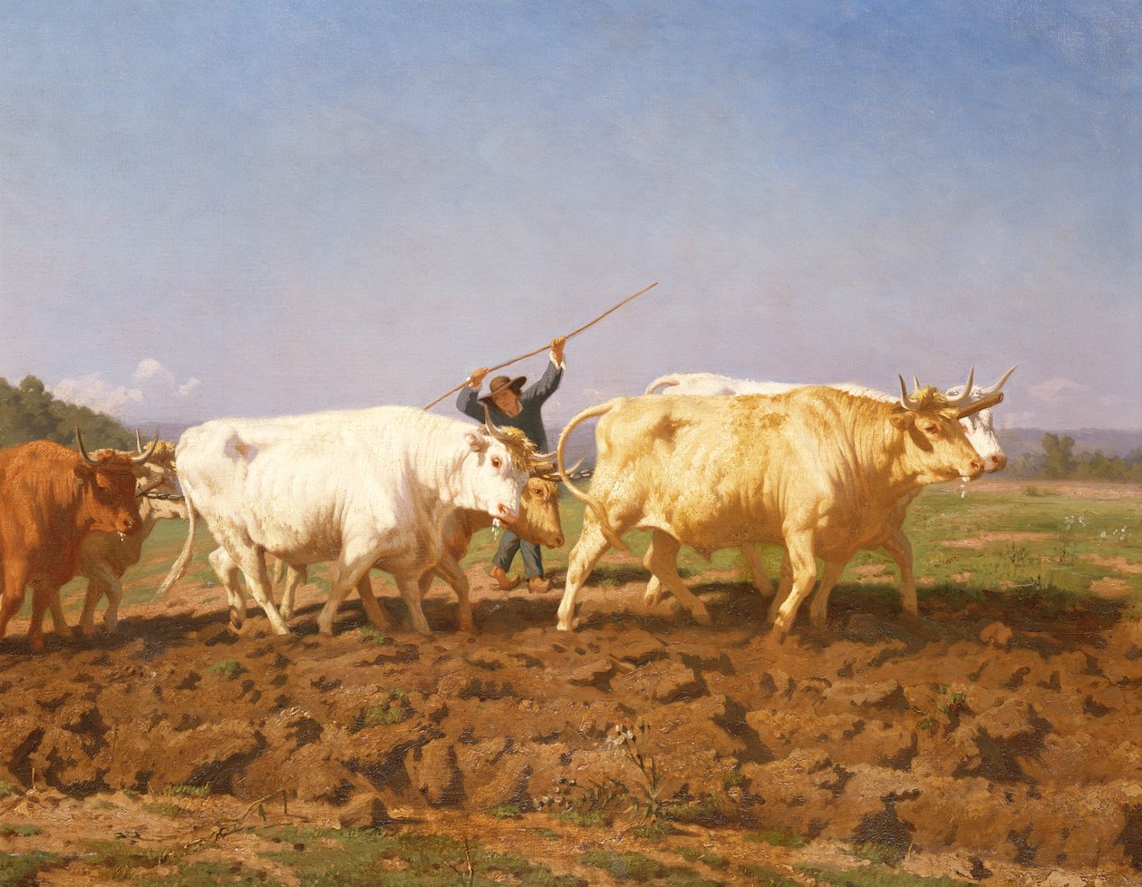 Orka w Nivernais, 1850 detal z 60149 autorstwa Rosa Bonheur