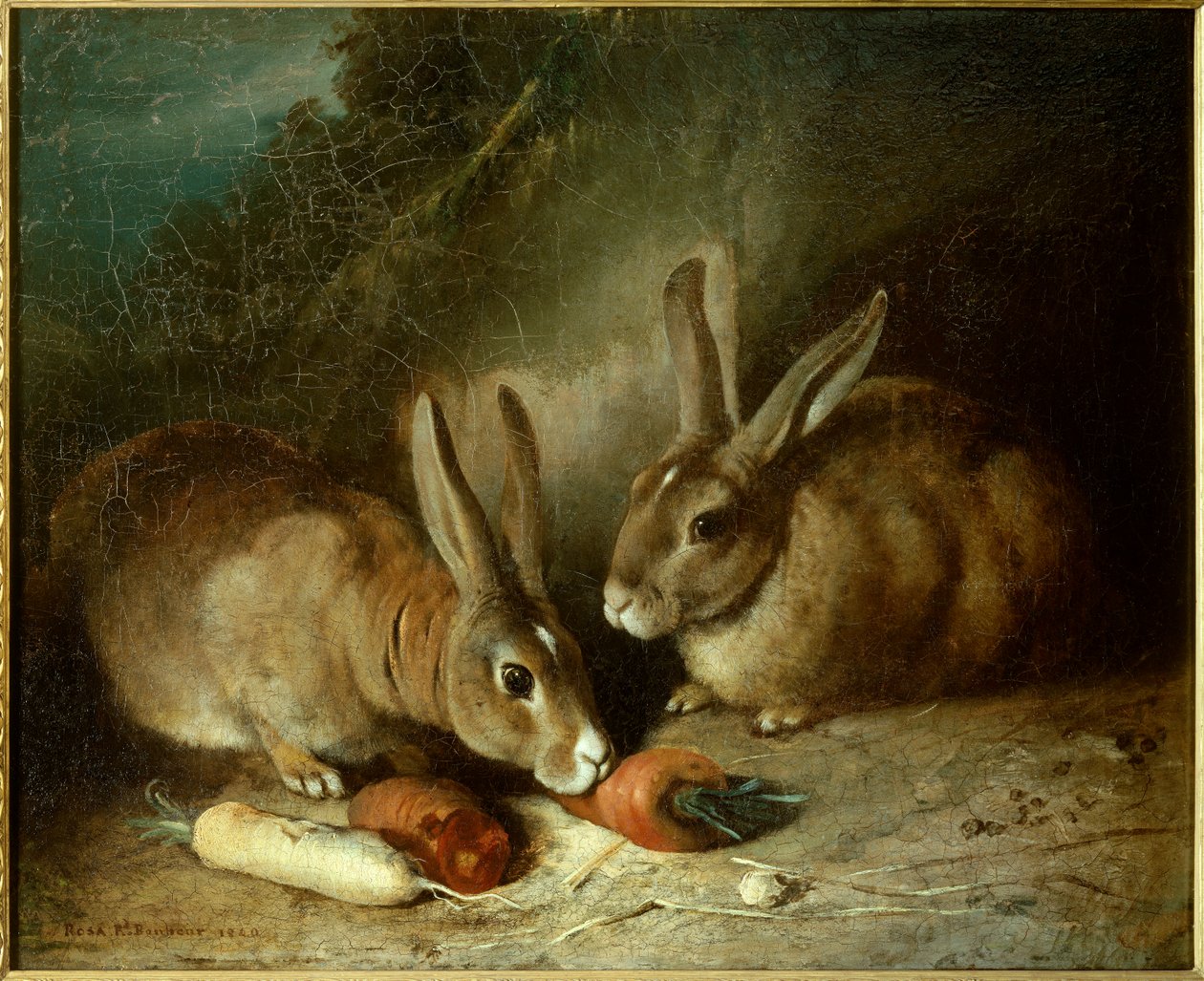 Króliki. Obraz Rosy Bonheur (1822-1899) autorstwa Rosa Bonheur
