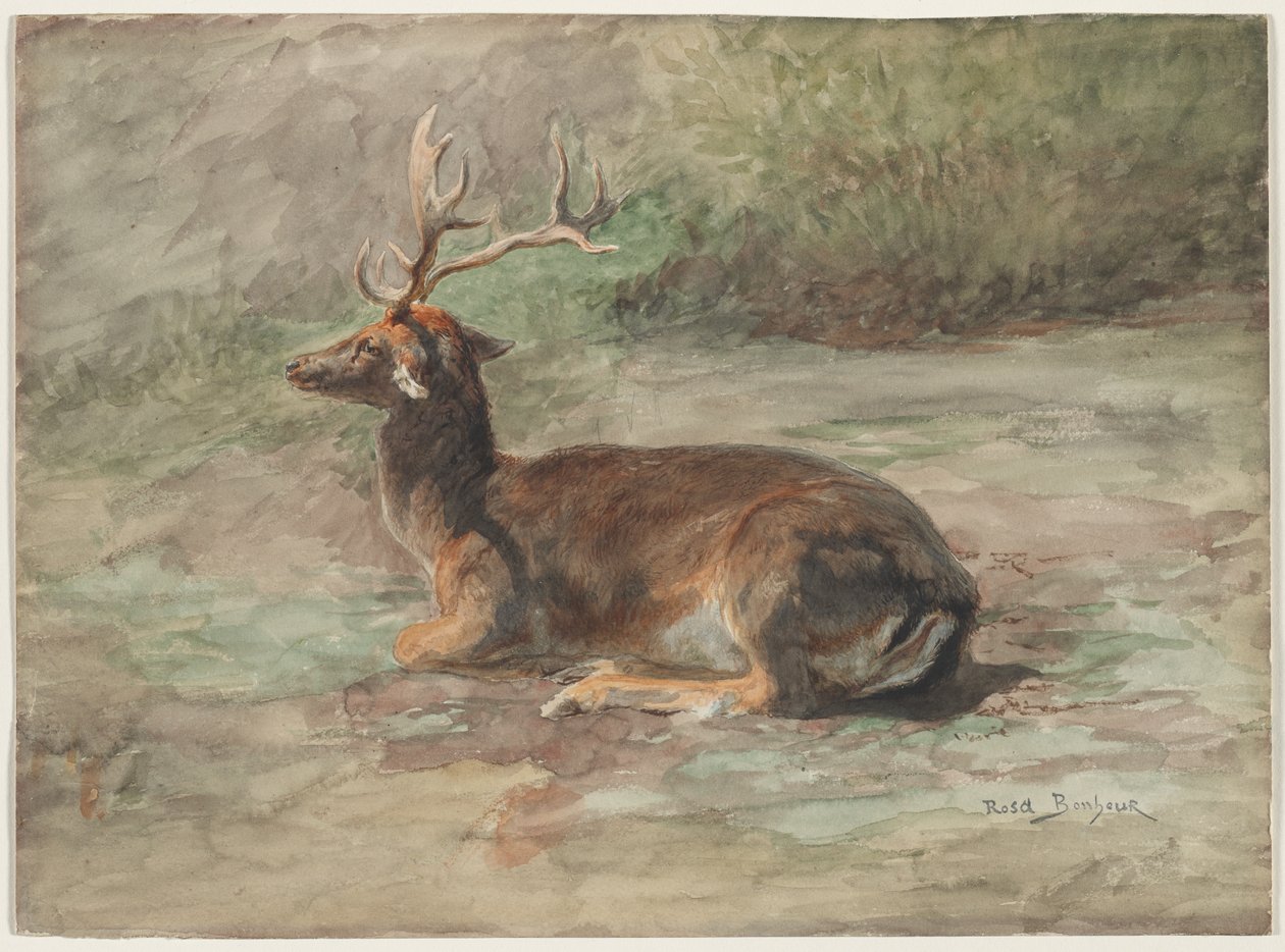 Leżący Jeleń, II poł. XIX w. autorstwa Rosa Bonheur