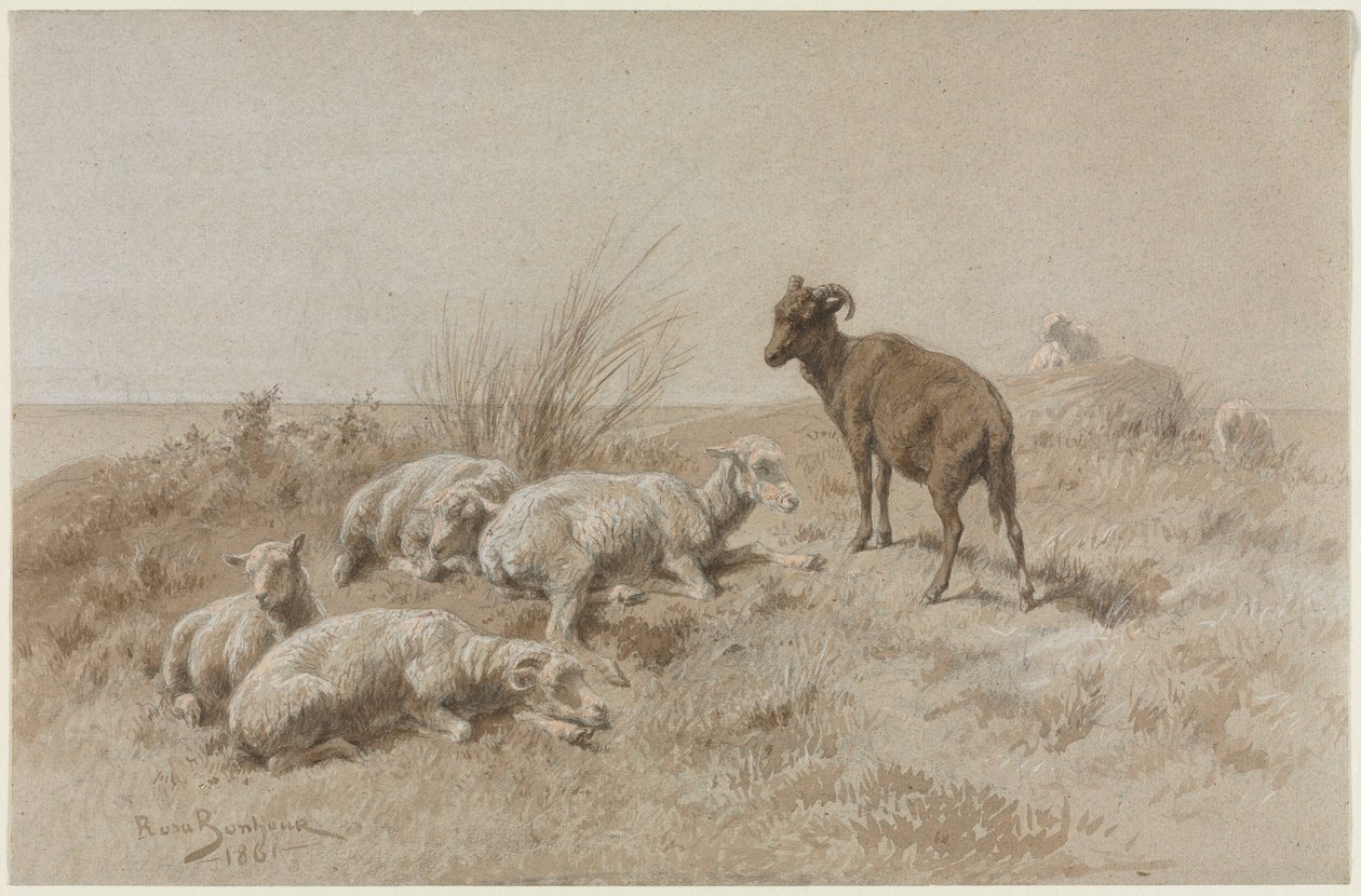 Owce autorstwa Rosa Bonheur