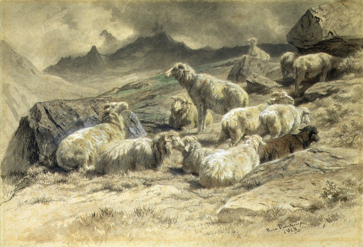 Owce autorstwa Rosa Bonheur
