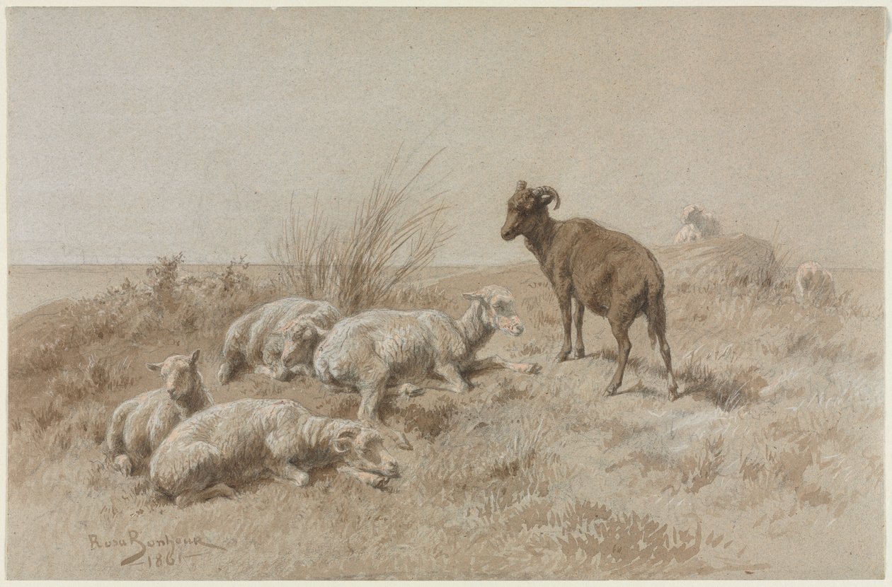 Owce autorstwa Rosa Bonheur