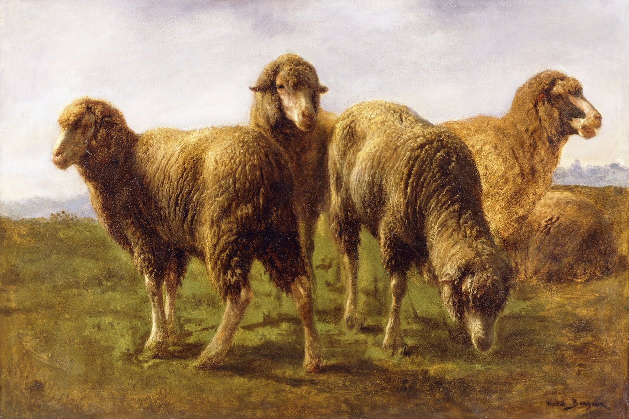 Owce pasące się na łące, autorstwa Rosa Bonheur