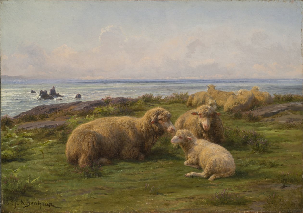 Owce nad morzem autorstwa Rosa Bonheur