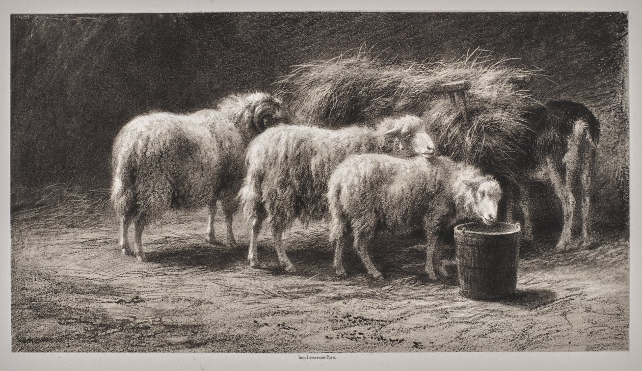 Owczarnia autorstwa Rosa Bonheur