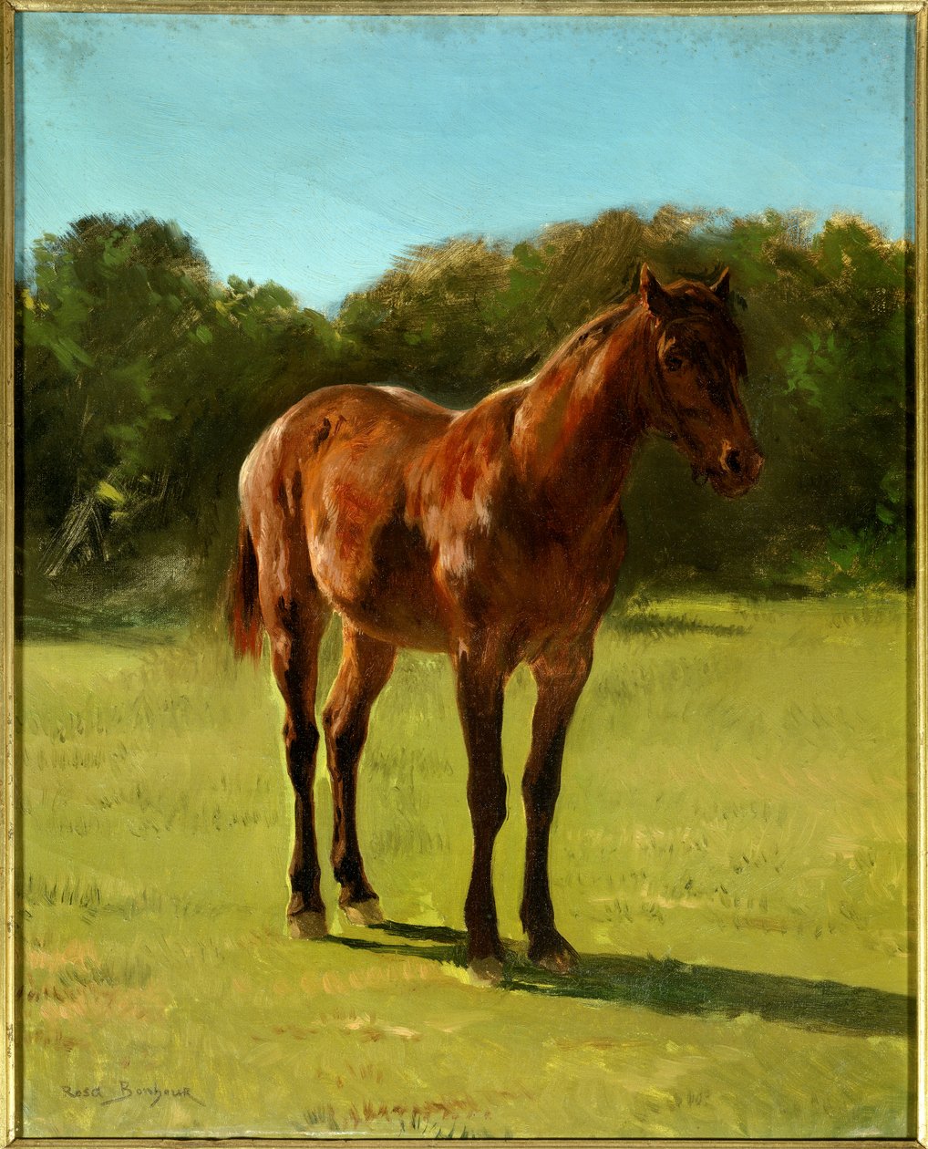 Badanie czereśni końskiej Bai. Obraz Rosy Bonheur (1822-1899) autorstwa Rosa Bonheur