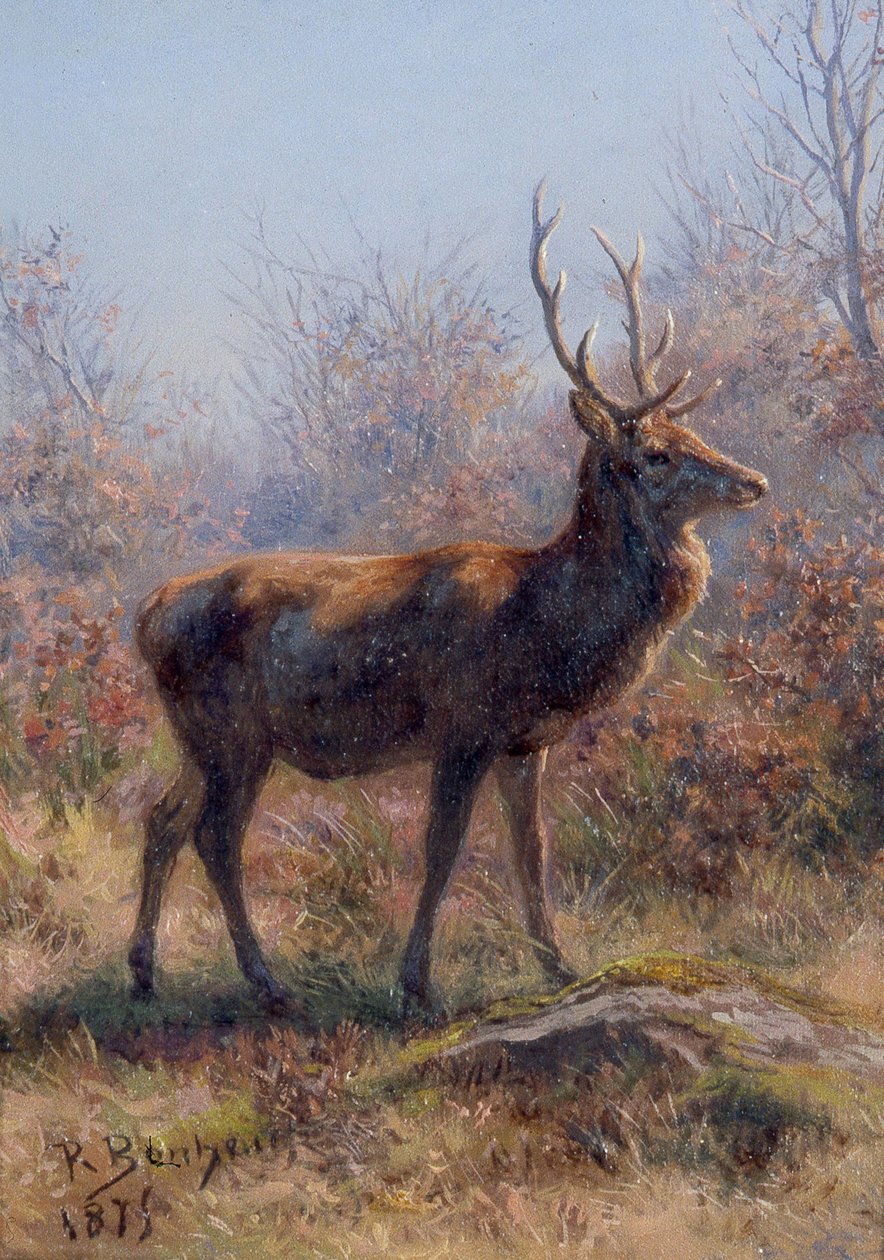 Jeleń autorstwa Rosa Bonheur