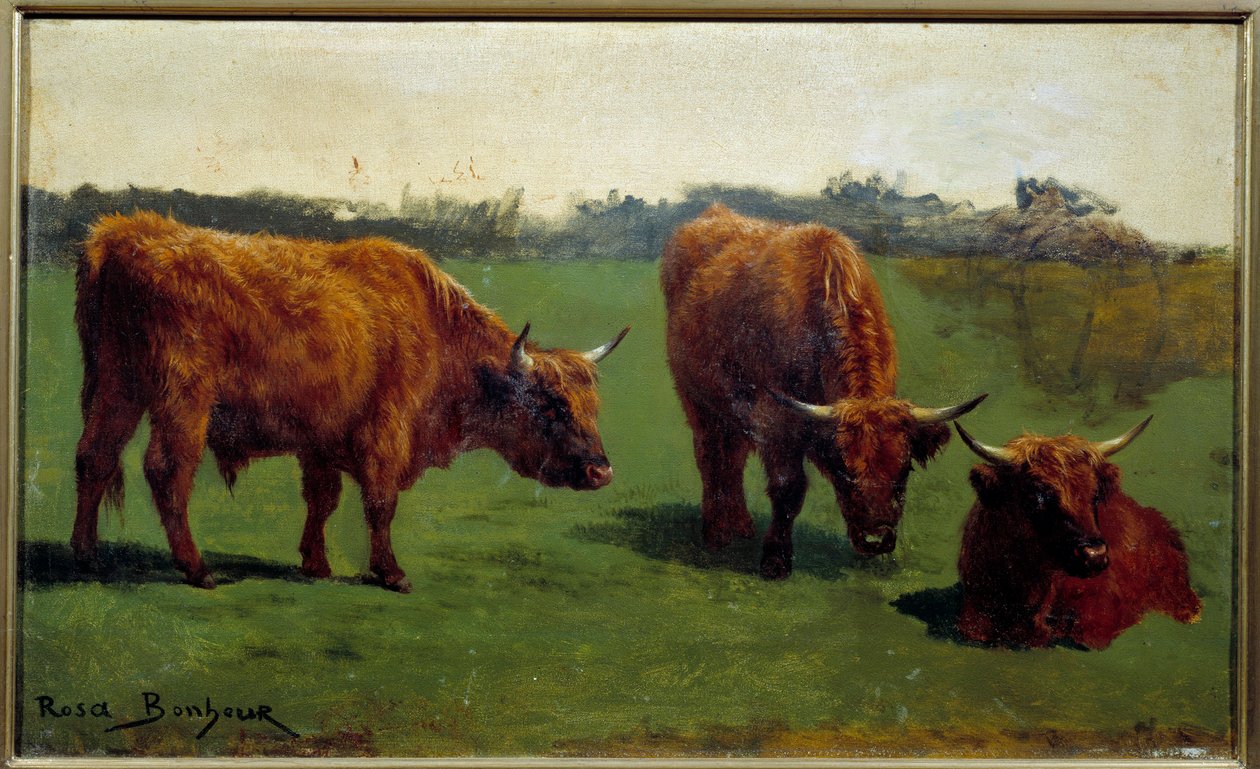 Trzy badania czerwonej wołowiny w pre. Obraz Rosy Bonheur (1822-1899) autorstwa Rosa Bonheur
