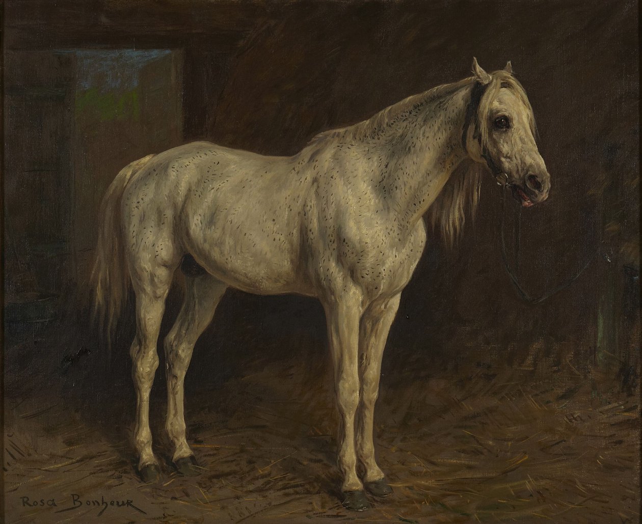 Biały koń autorstwa Rosa Bonheur