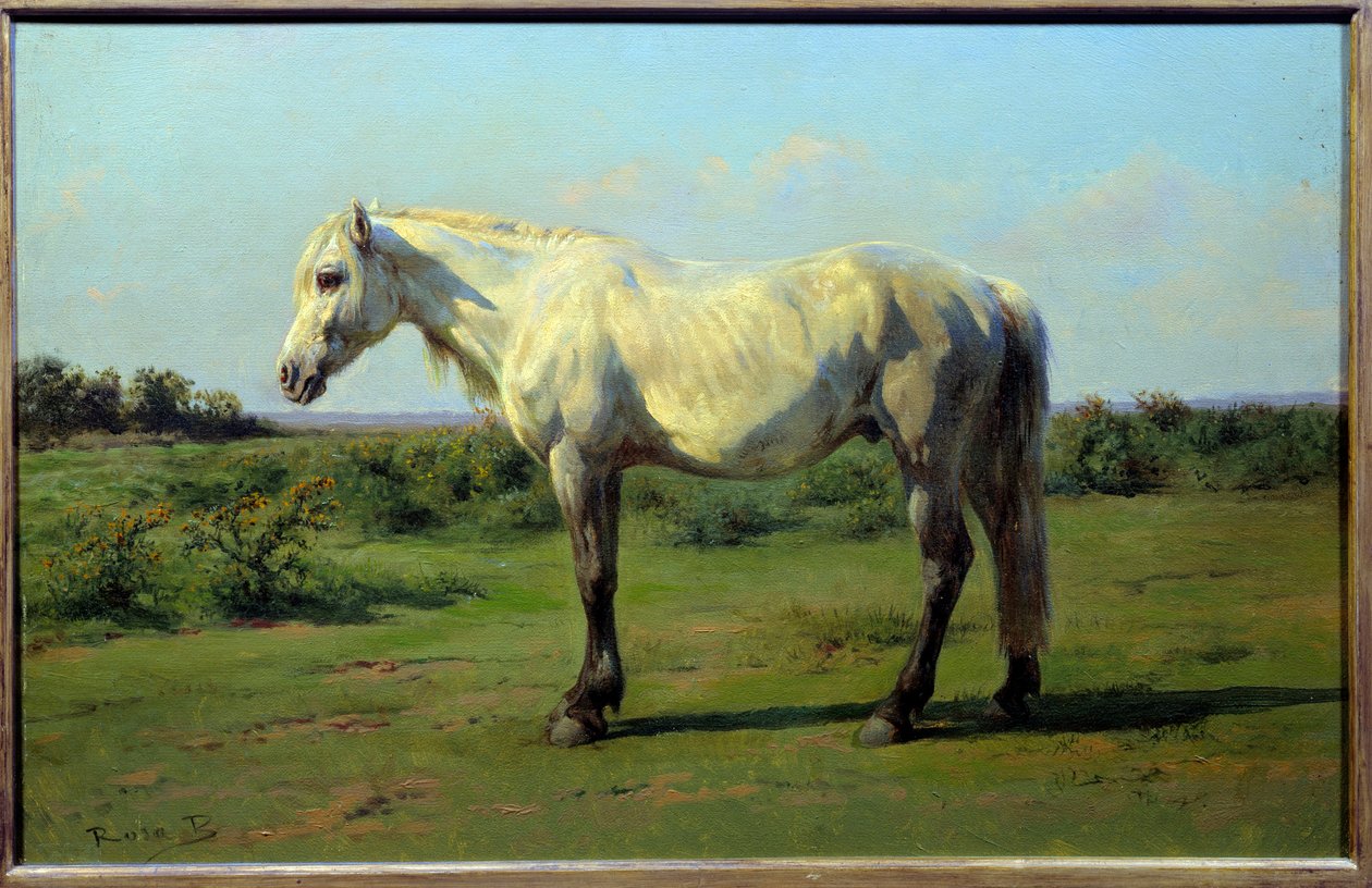 Biały koń w pre. Obraz Rosy Bonheur (1822-1899) autorstwa Rosa Bonheur